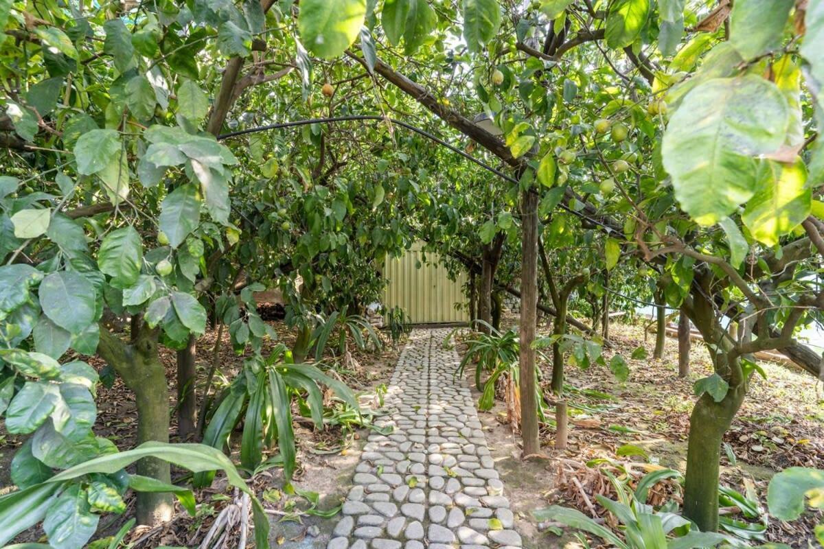Villa Mimosa Rustic Elegance Views & Pool Massa Lubrense Ngoại thất bức ảnh